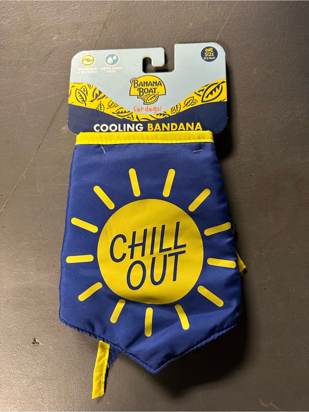 Banana Boat Dog Cooling Bandana - Blue & Yellow "Chill Out"